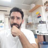 מורה פרטי ב דן א.