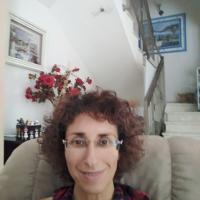 שלומית צ.