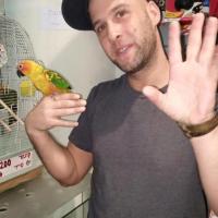 אבי ס.