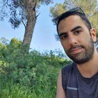 יוגב א.