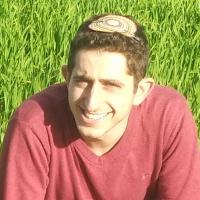 נדב ס.