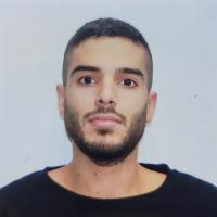 רוי ב.