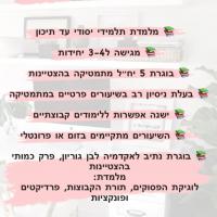 מורה פרטי ב עמית ר.