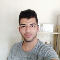 אלמוג ש.