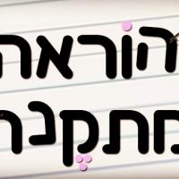 מורה פרטי ב צופית א.
