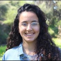 מורה פרטי ב נגה א.