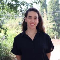ענבר ז.
