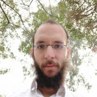 מנדי ש.