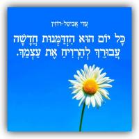טלי ס.