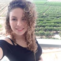 מורה פרטי ב עמית א.