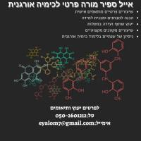 מורה פרטי ב אייל ס.