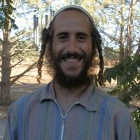 נדב כ.