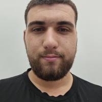מור ל.