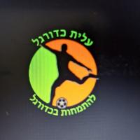 מורה פרטי ב ארי ע.