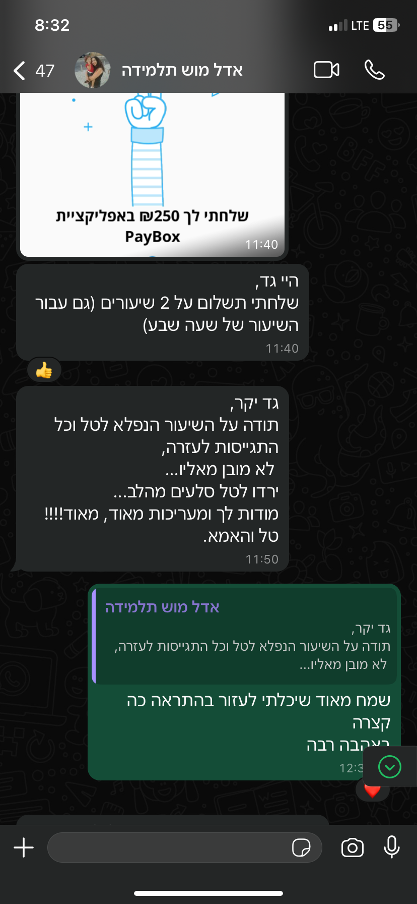 ביקורת מורה