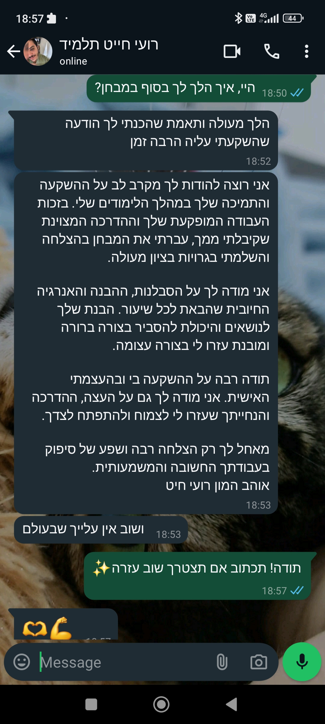 ביקורת מורה