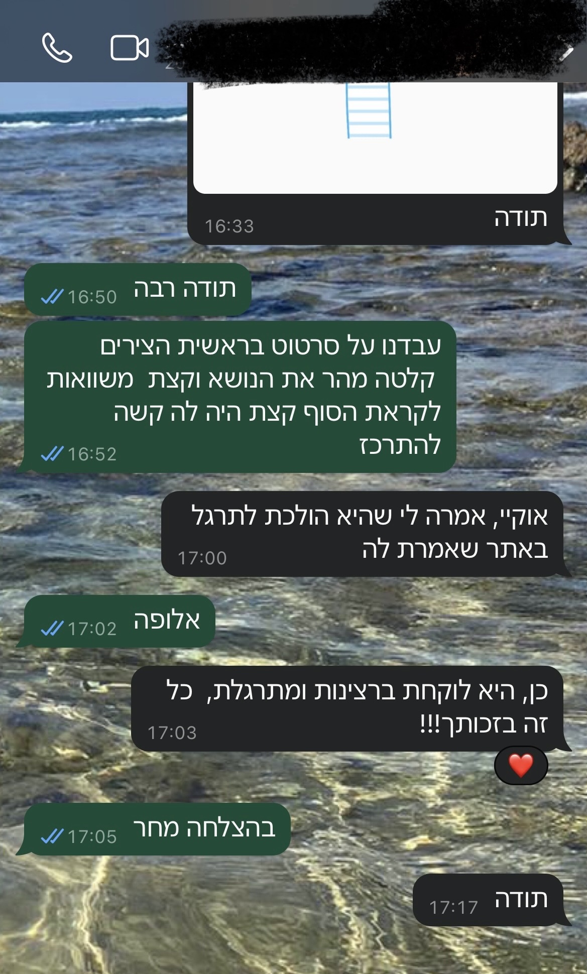 ביקורת מורה