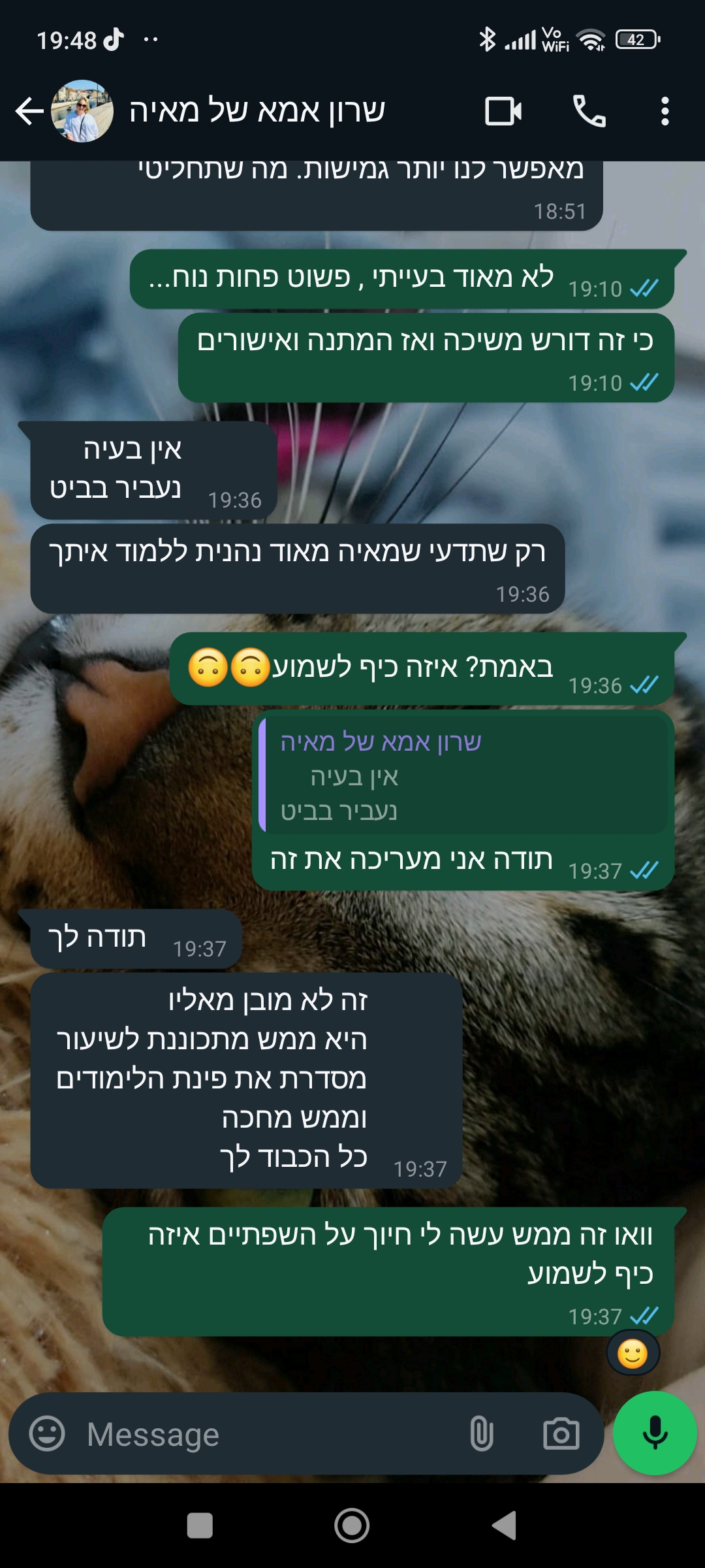ביקורת מורה