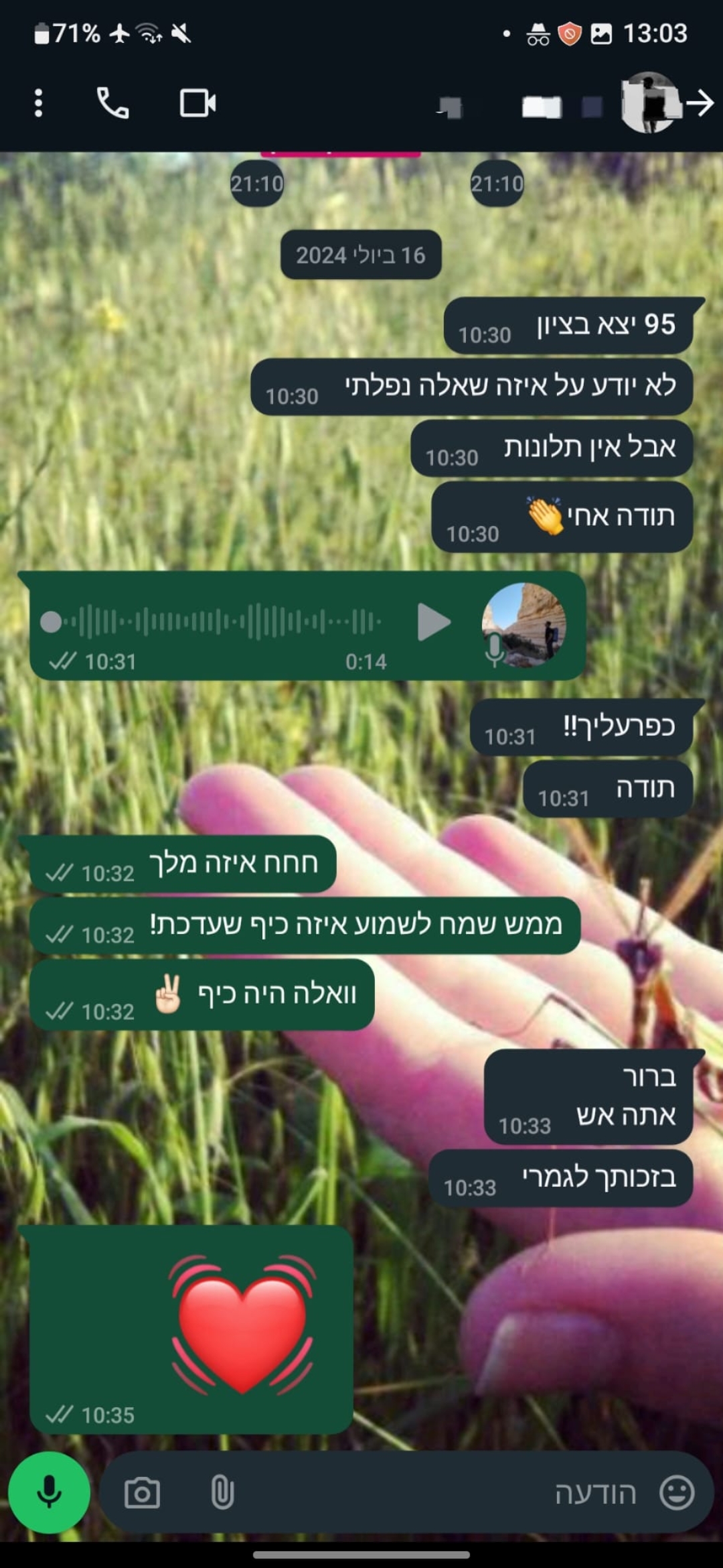 ביקורת מורה