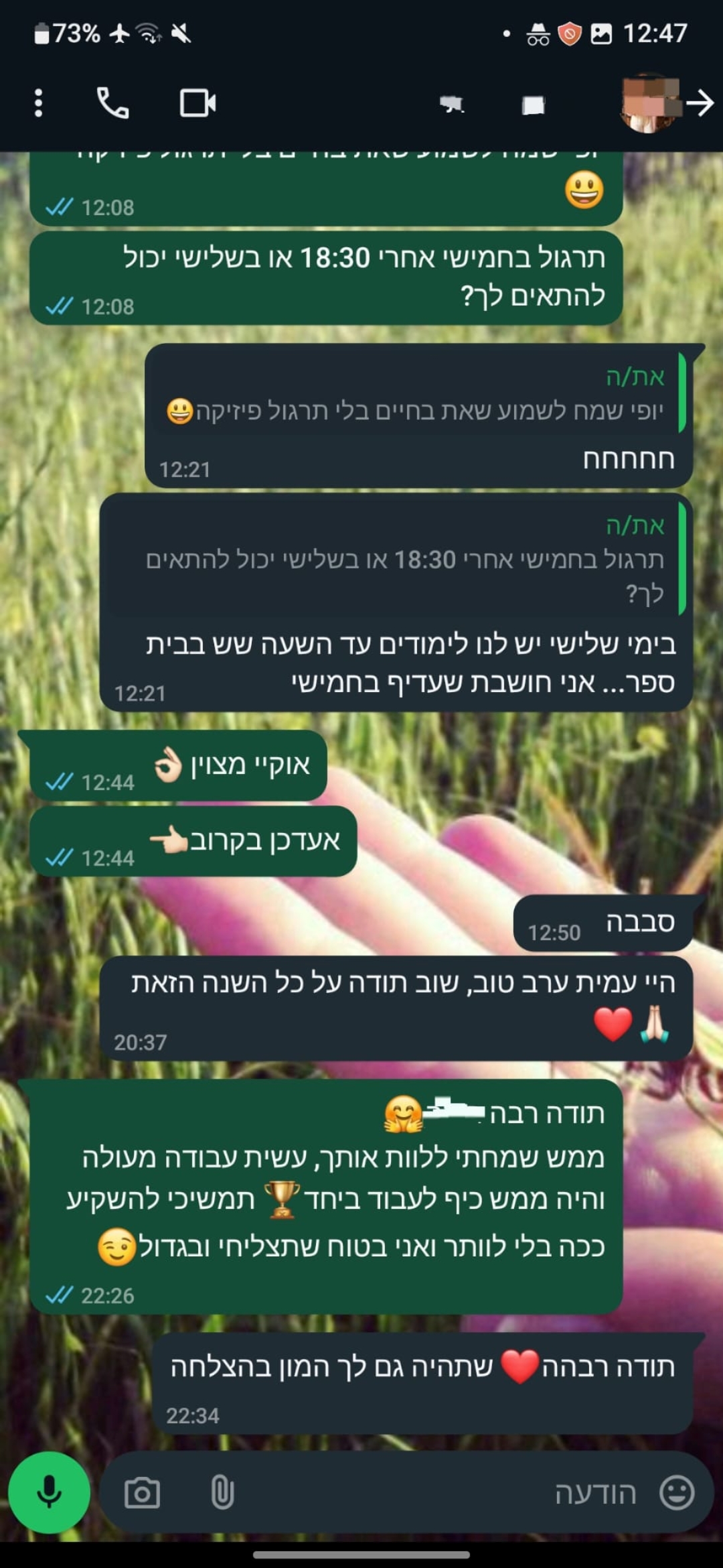 ביקורת מורה