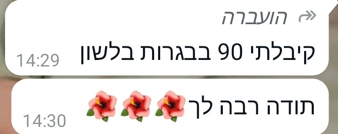 ביקורת מורה