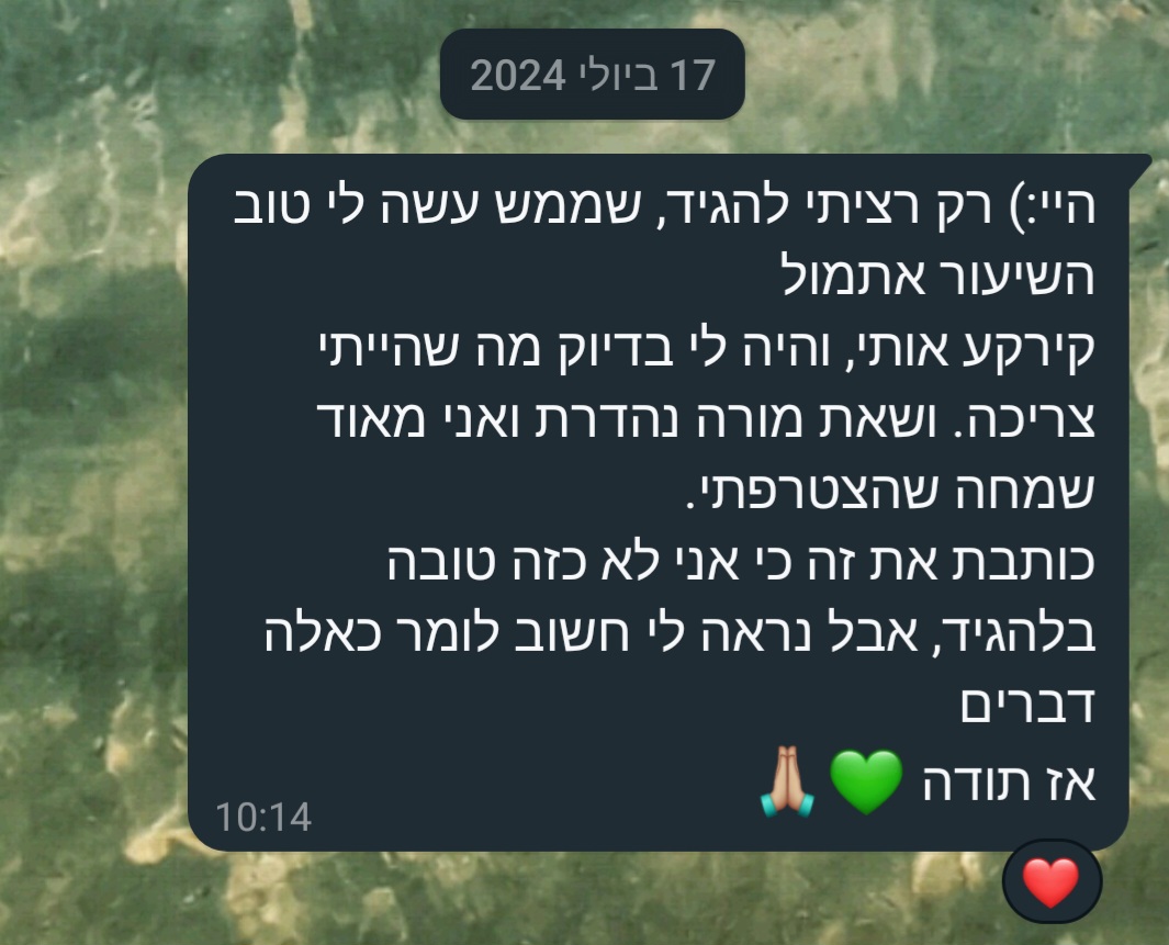 ביקורת מורה