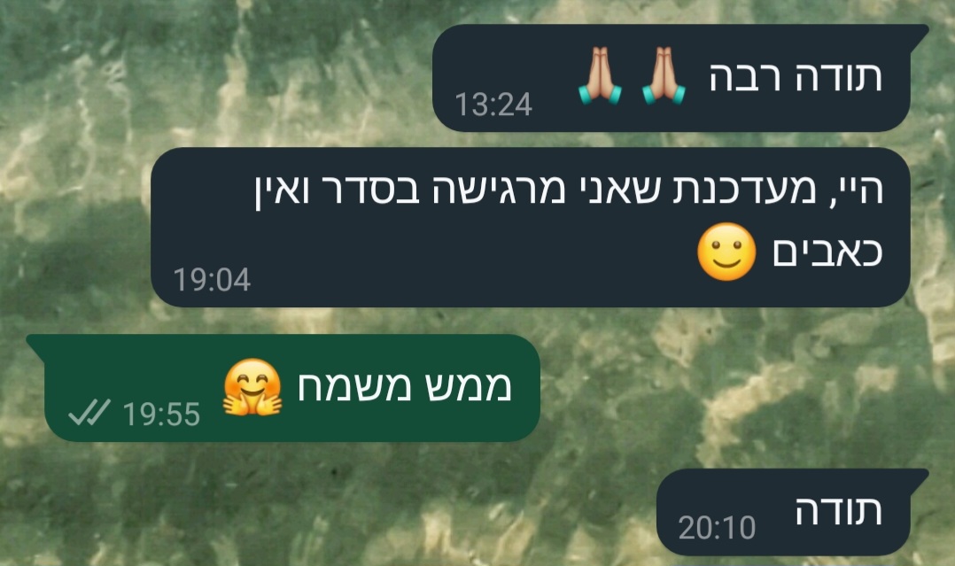 ביקורת מורה