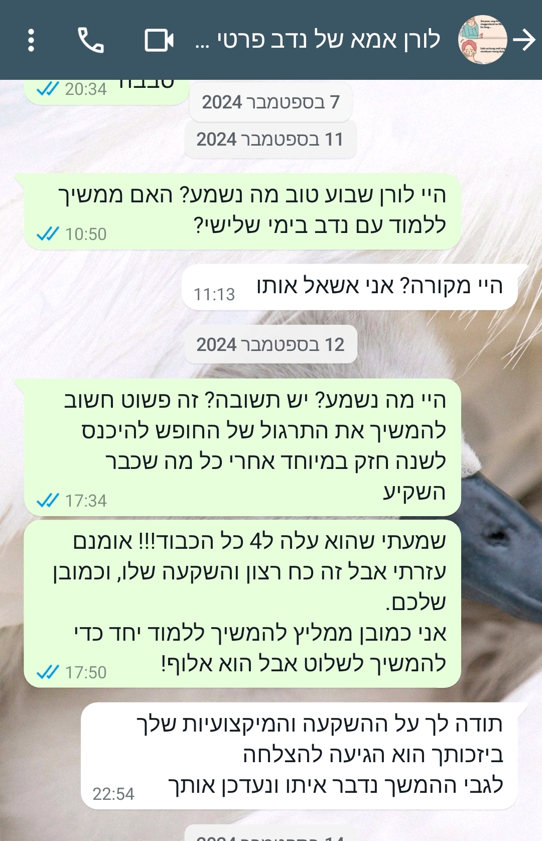 ביקורת מורה