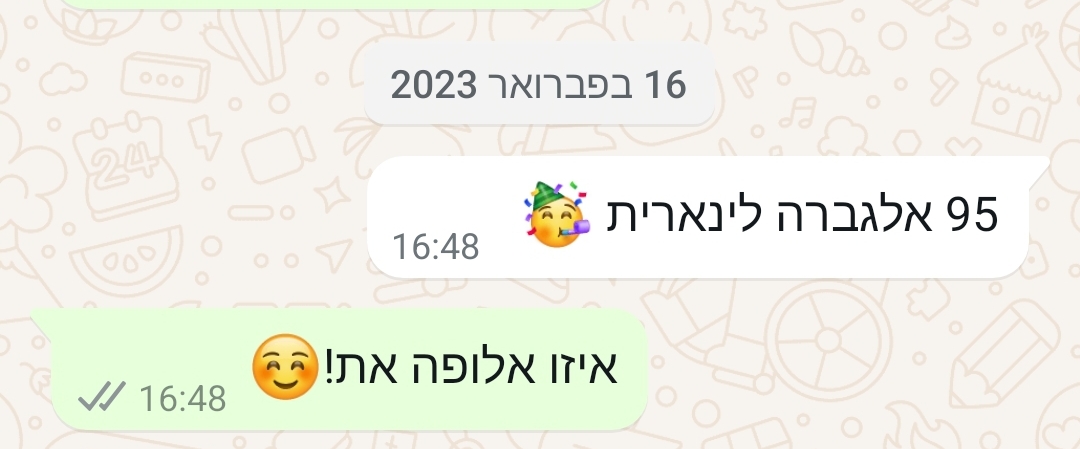 ביקורת מורה