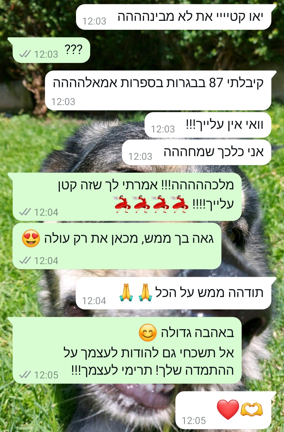 ביקורת מורה