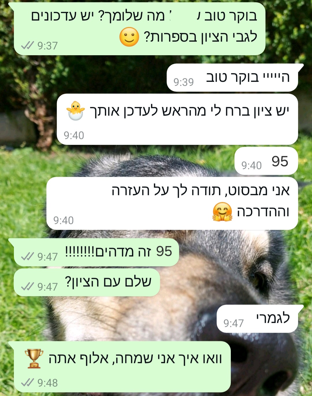 ביקורת מורה