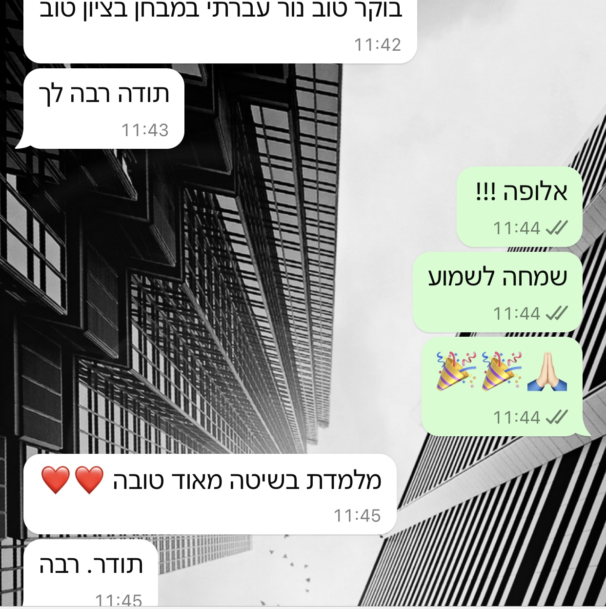ביקורת מורה