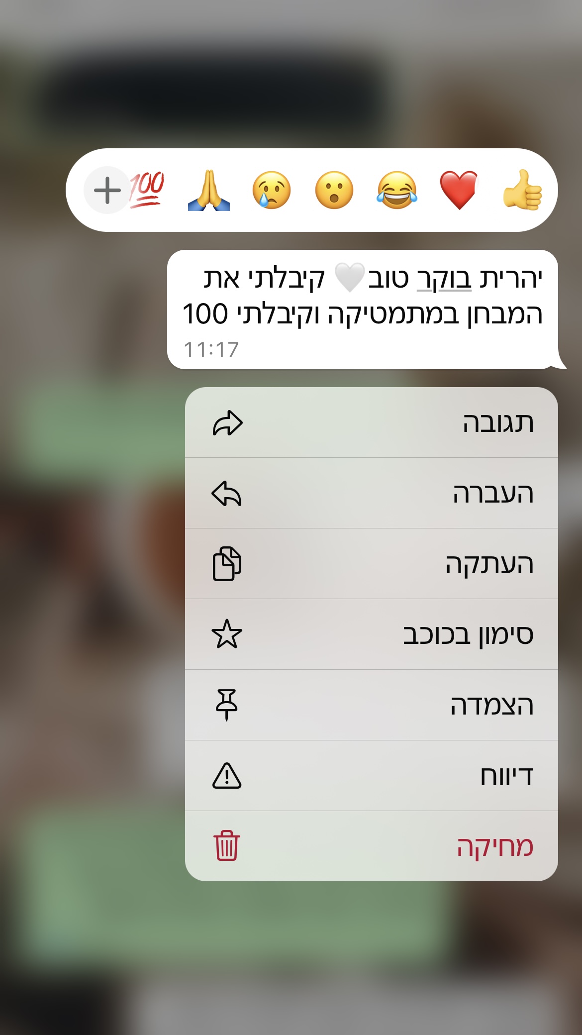 ביקורת מורה