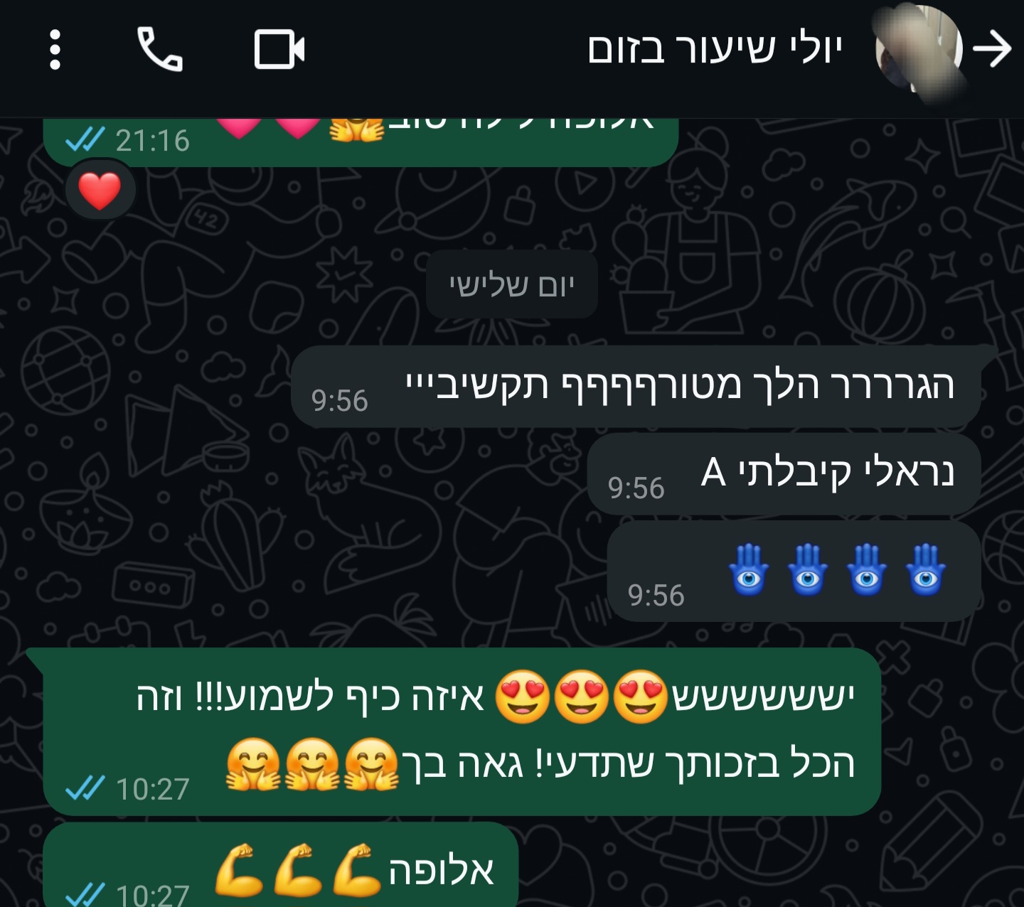 ביקורת מורה