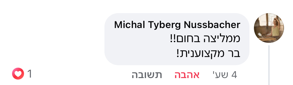 ביקורת מורה