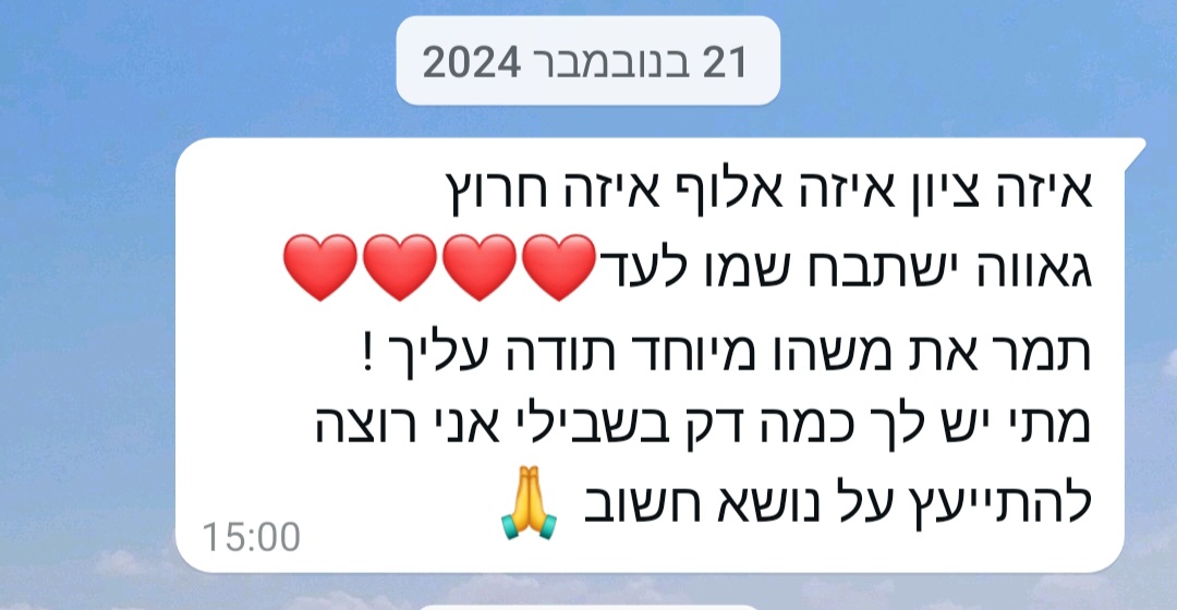 ביקורת מורה