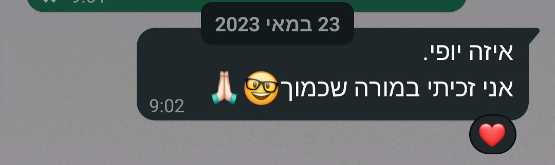 ביקורת מורה