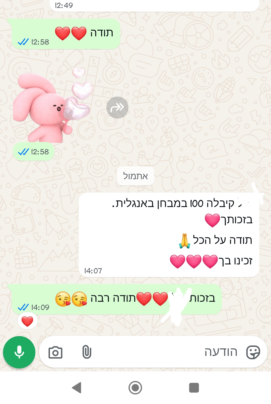ביקורת מורה