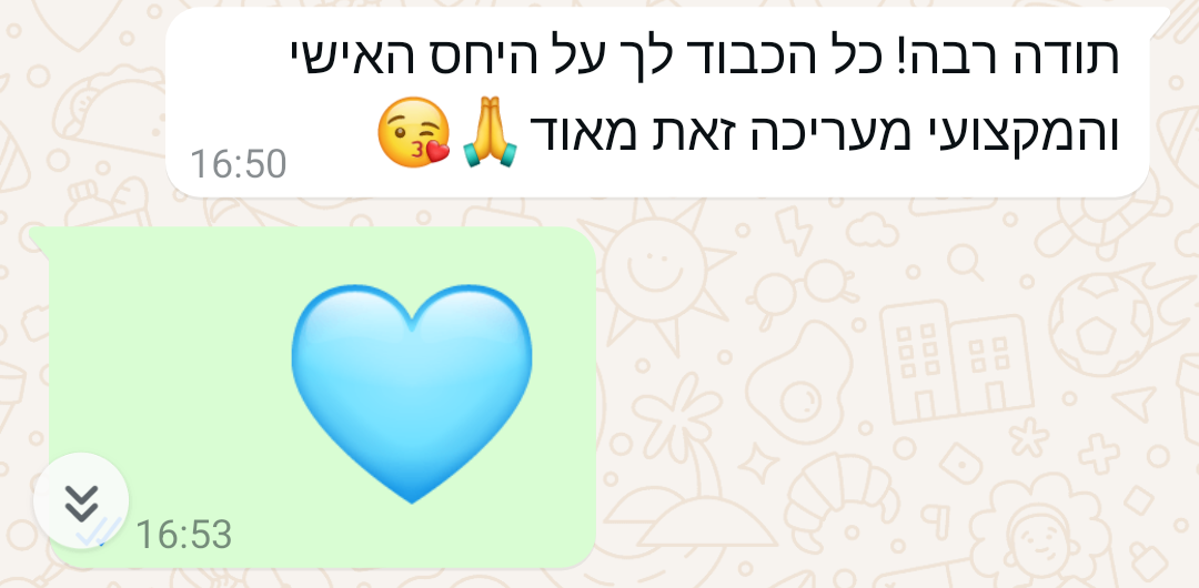 ביקורת מורה