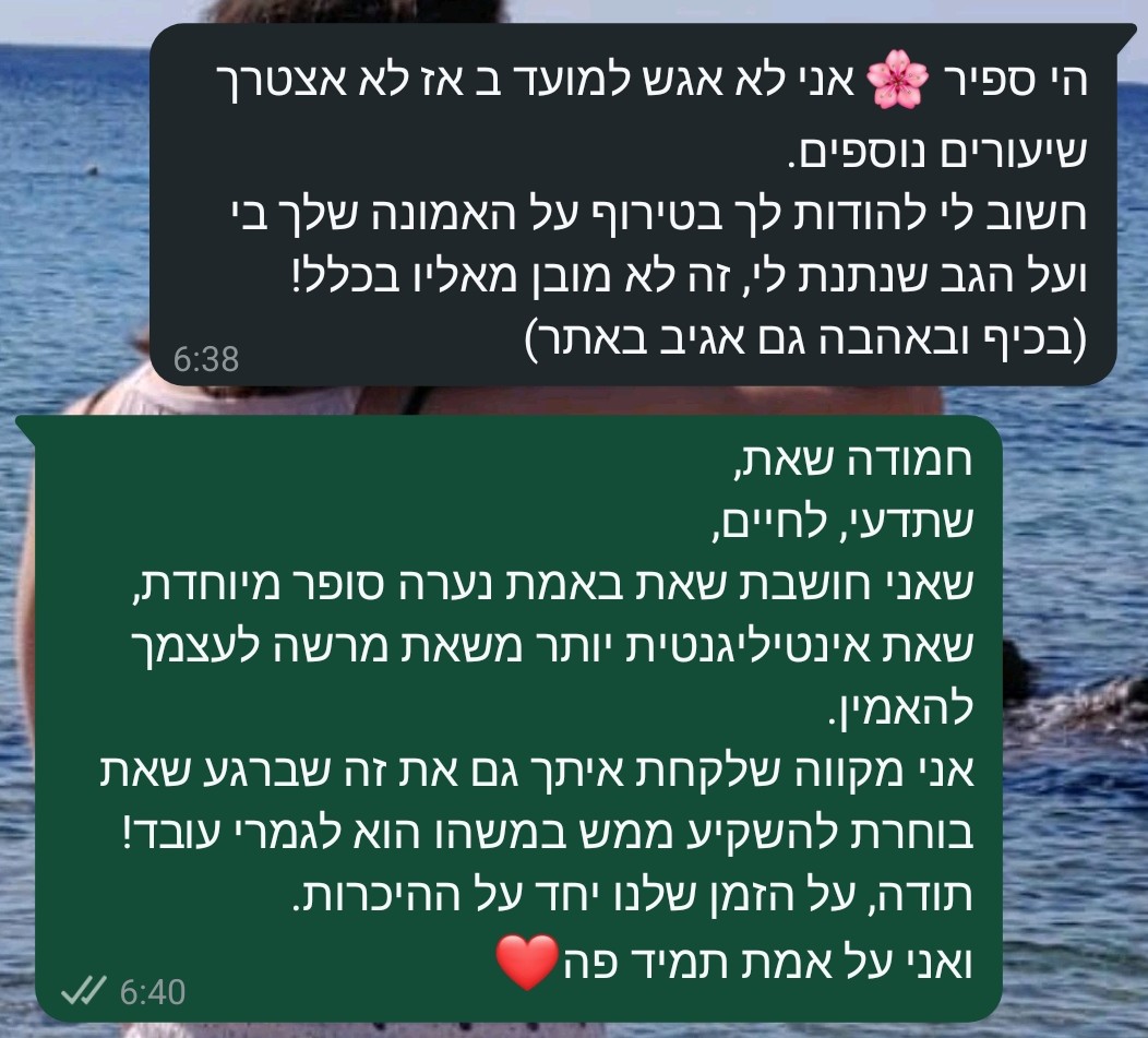 ביקורת מורה