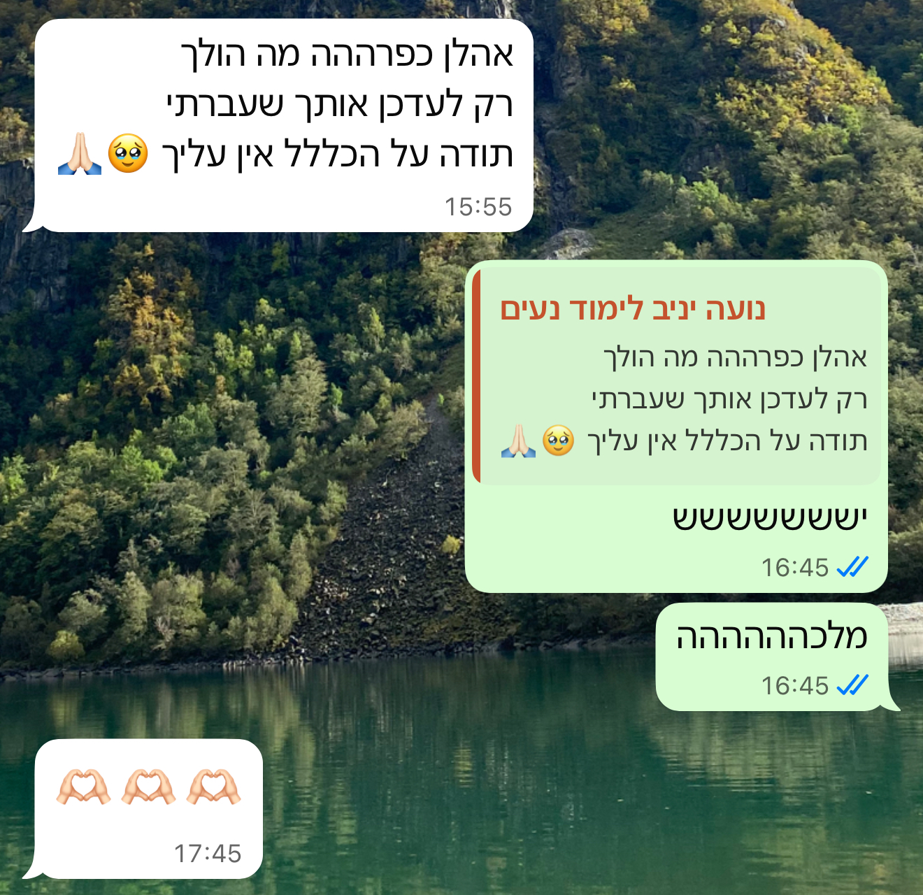 ביקורת מורה