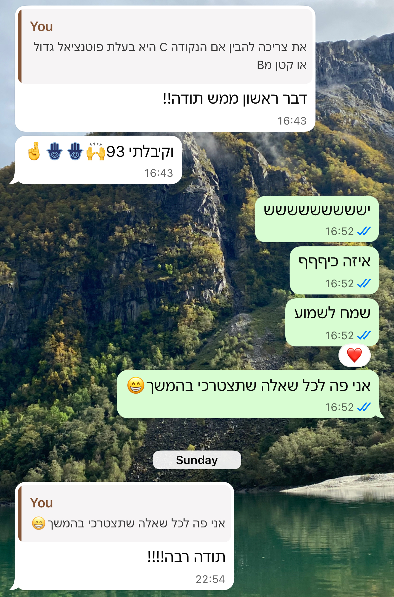 ביקורת מורה