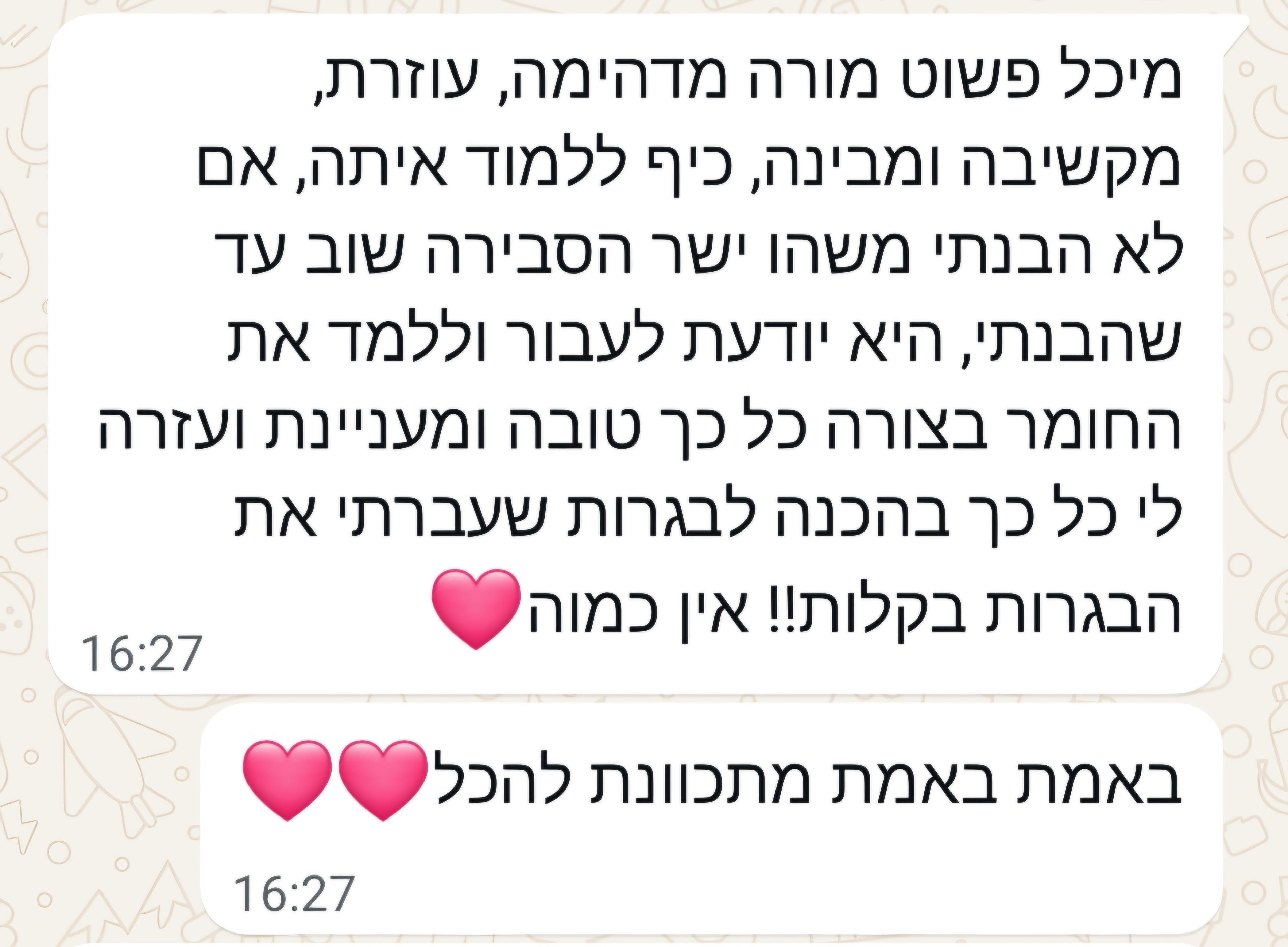 ביקורת מורה