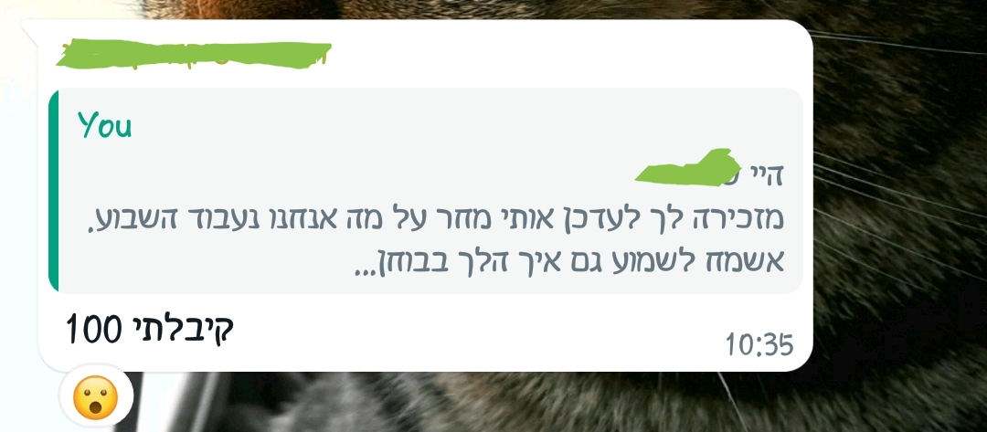 ביקורת מורה