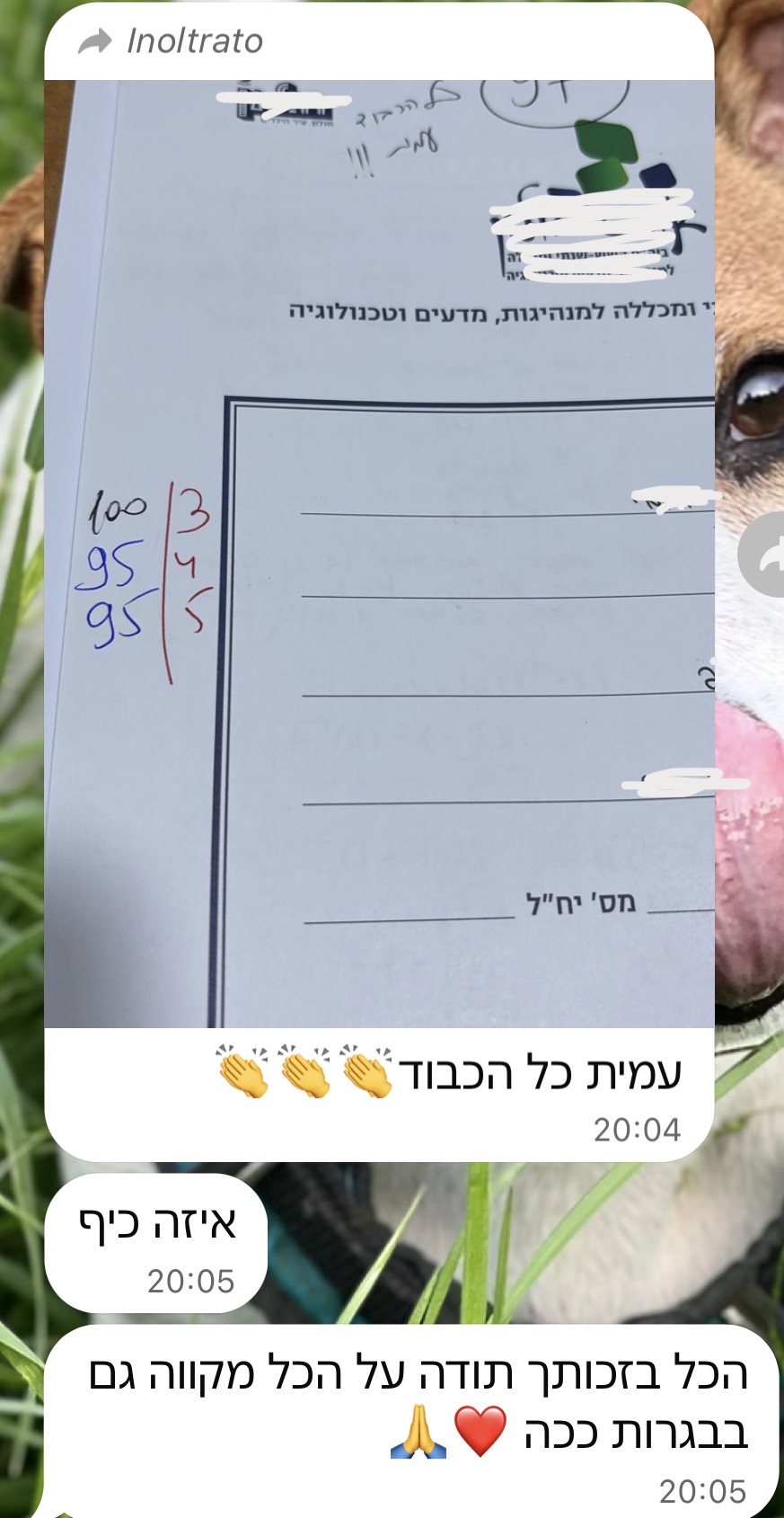 ביקורת מורה