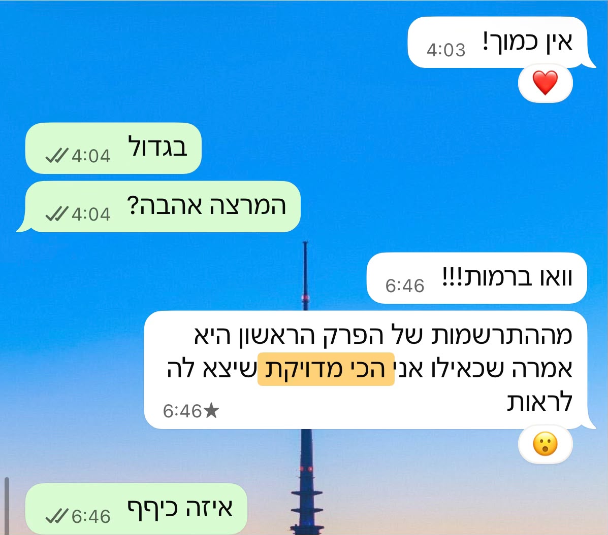 ביקורת מורה